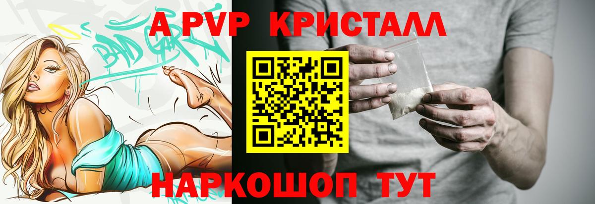 Альфа ПВП СК Мичуринск