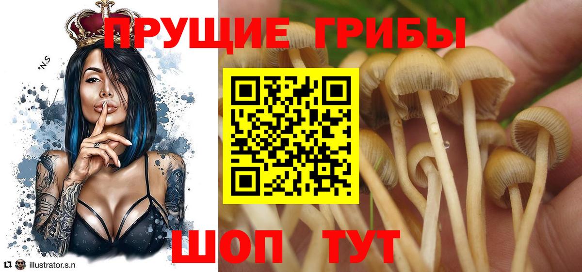 Псилоцибиновые грибы мицелий  Галлюциногенные грибы мухоморы  Мичуринск  Вход с VPN 
