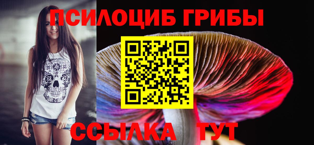 Галлюциногенные грибы Psilocybine cubensis Мичуринск